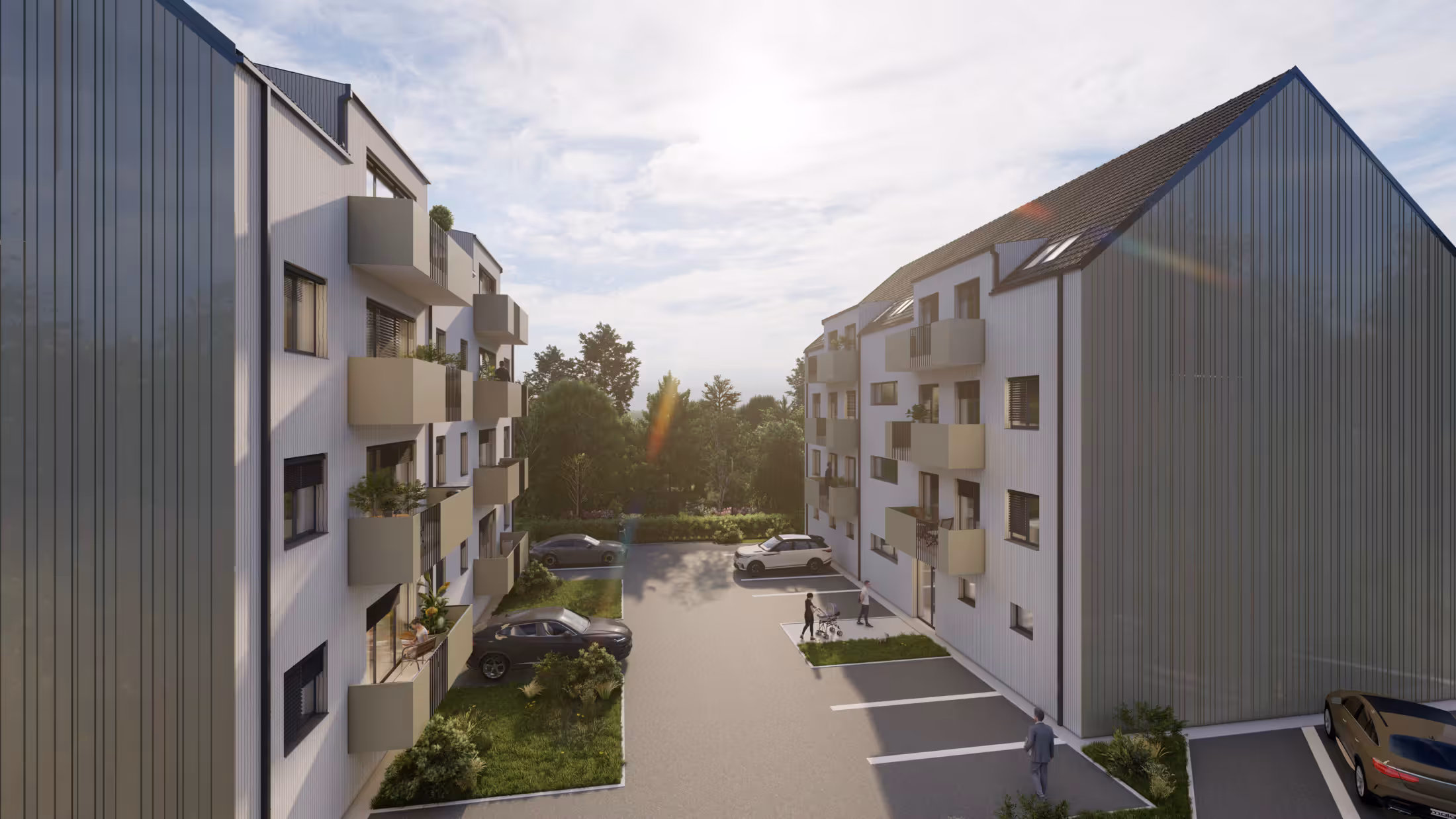 zadvory_vizualizace_2026_2